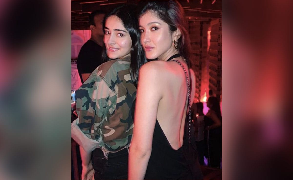 You are currently viewing Ananya Panday On Her Fight With BFF Shanaya Kapoor: "I Pulled Her Hair And…"