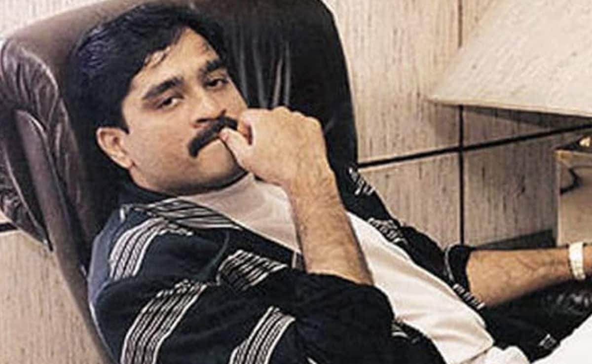 Read more about the article Dawood's Plot With Base Price Of Rs 15,000 Sold For Rs 2 Crore In Auction