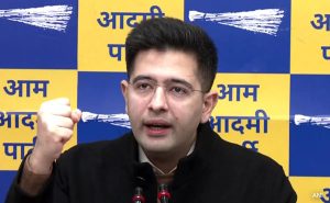 Read more about the article "Will Approach High Court For Fresh Mayoral Polls": Raghav Chadha