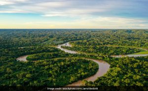 Read more about the article 3,000-Year-Old City Hidden In Amazon Rainforest Discovered