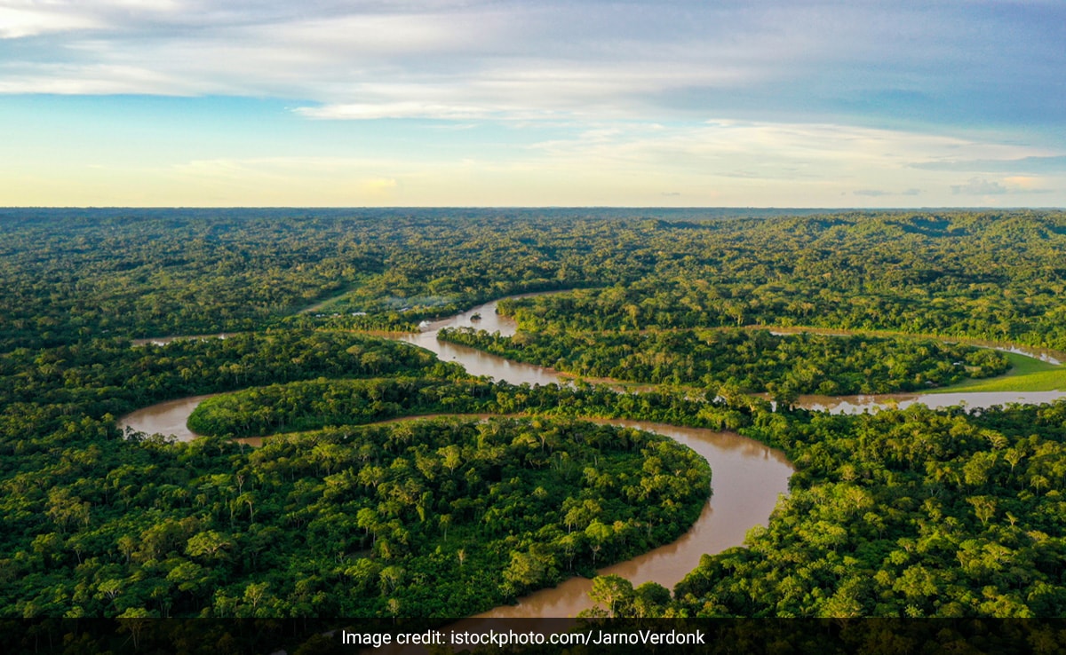 You are currently viewing 3,000-Year-Old City Hidden In Amazon Rainforest Discovered
