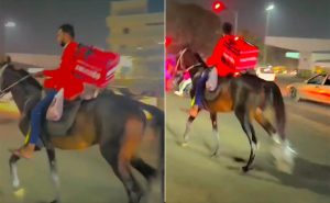 Read more about the article Video: Zomato Agent Delivers Food On Horse Amid Long Queues At Pumps
