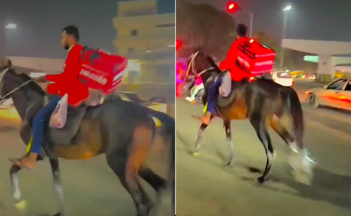 You are currently viewing Video: Zomato Agent Delivers Food On Horse Amid Long Queues At Pumps