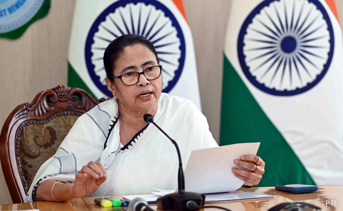 Read more about the article "BJP Crying 'CAA CAA' For Votes": Mamata Banerjee On Minister's Guarantee