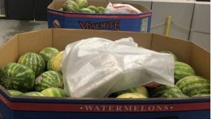 Read more about the article Indo-Canadian truck driver busted in US with 30kg of cocaine in watermelons pleads guilty