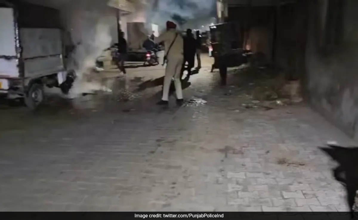 You are currently viewing Punjab Man, Pet Dog Killed In House Fire Caused By Short Circuit