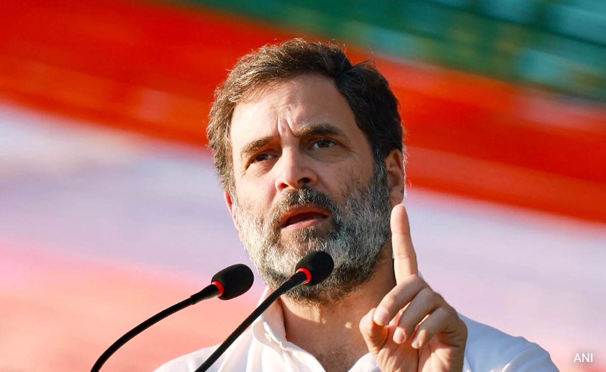 Read more about the article "He Lives In La-La World": BJP On Rahul Gandhi's Ram Temple Remark