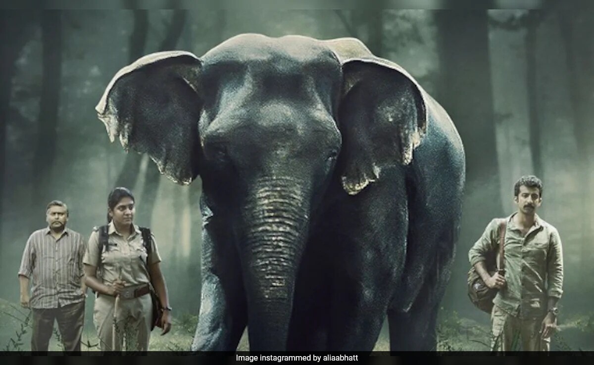 You are currently viewing Poacher Trailer: Deep Dive Into The Hunt For India's Elephant Poachers