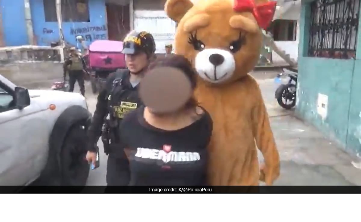 You are currently viewing Cop Dressed As Teddy Bear Arrests Drug Dealer In Peru’s Lima