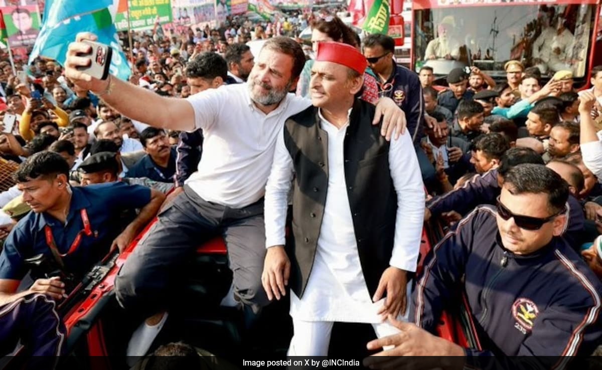 You are currently viewing In UP, Rahul Gandhi's Selfie With Akhilesh Yadav During Nyay yatra