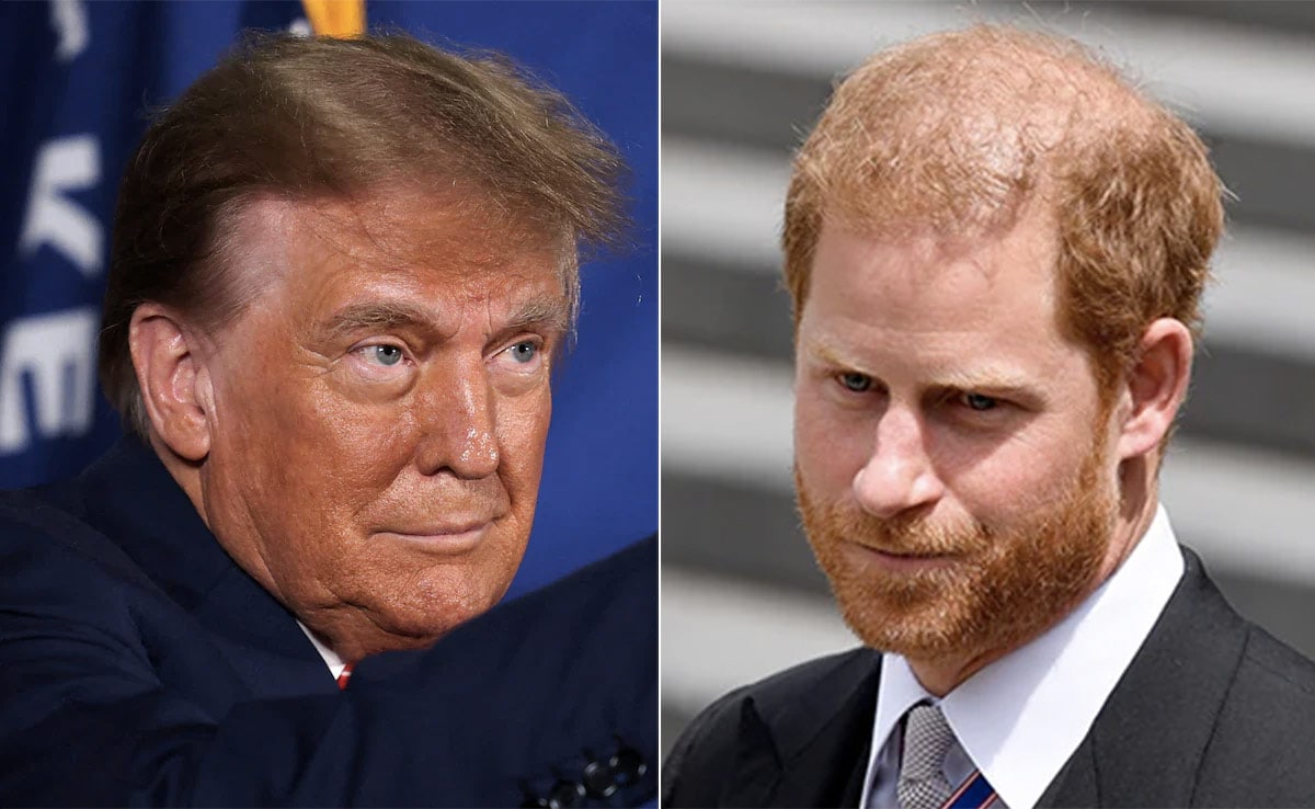 Read more about the article Donald Trump Slams Prince Harry, Says He “Betrayed The Queen”