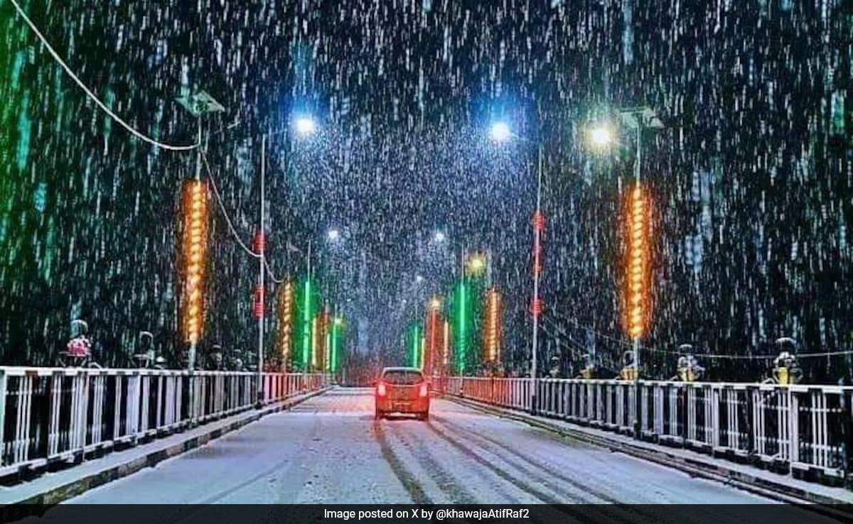 You are currently viewing Much-Awaited Snowfall Brings Cheer, Turns Kashmir Into Winter Wonderland