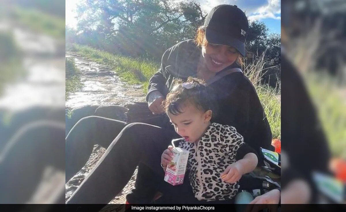 Read more about the article Inside Priyanka Chopra's Daughter Malti Marie's First Hike: "She Touched Everything"
