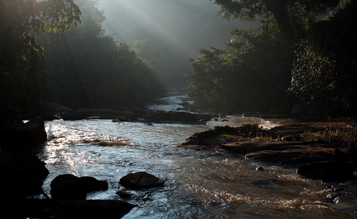 Read more about the article 3 Members Of a Family Drown After Entering River For Bath In Kerala: Cops