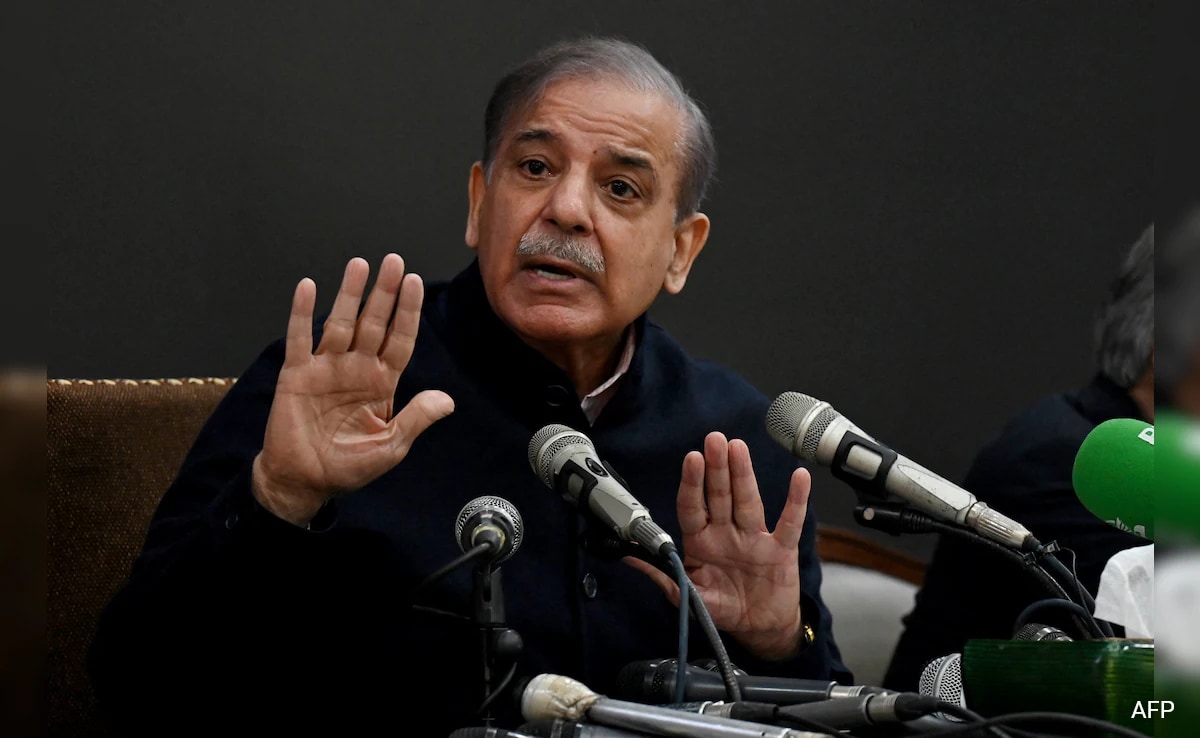 Read more about the article PM For 2nd Time, Pakistan’s Shehbaz Sharif Faces An Even Tougher Task