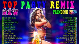 Read more about the article Nonstop Party mashup dance DJ songs |party mashup hindi 2024 | bollywood dance songs