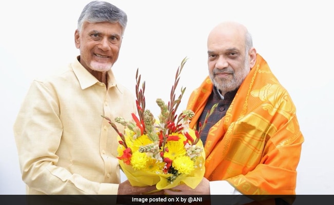 BJP-Chandrababu Naidu-Pawan Kalyan Alliance Finalised, Say Sources