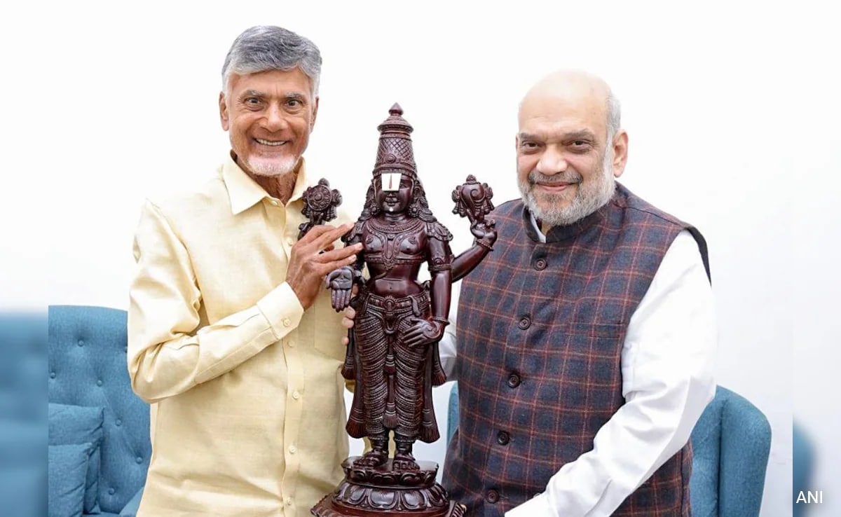 Read more about the article BJP's "6+2" Andhra Poll Plan With Chandrababu Naidu, Pawan Kalyan