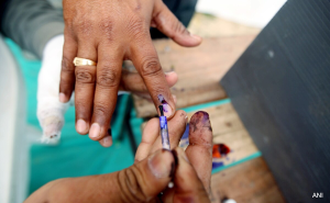 Read more about the article All About Purple Fingers And Indelible Ink, The Hallmarks Of Polls In India