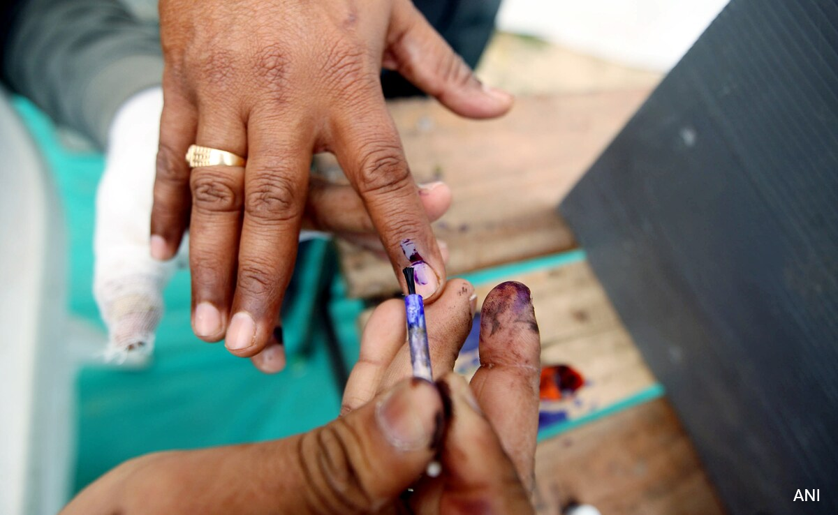 You are currently viewing All About Purple Fingers And Indelible Ink, The Hallmarks Of Polls In India