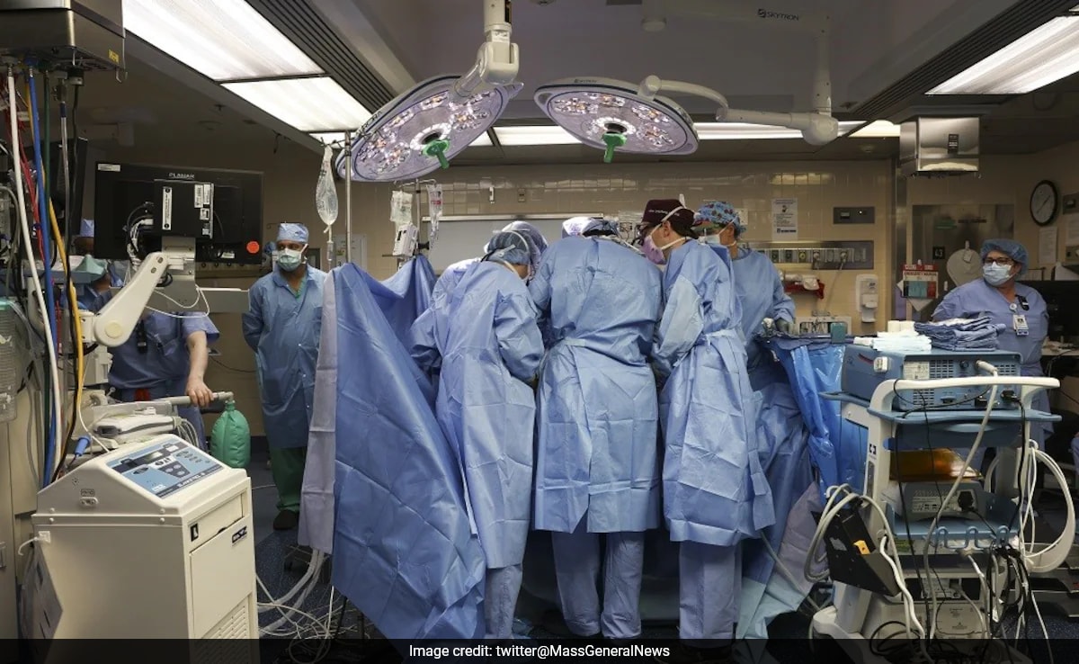 You are currently viewing US Surgeons Transplant Pig Kidney To Patient In World First