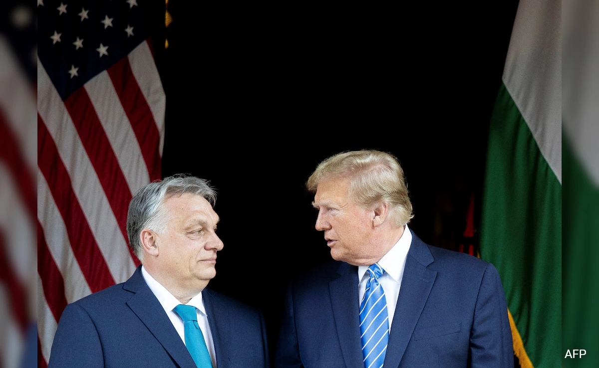 Read more about the article Donald Trump Won’t “Give A Penny To Ukraine”, Claims Hungary PM Viktor Orban