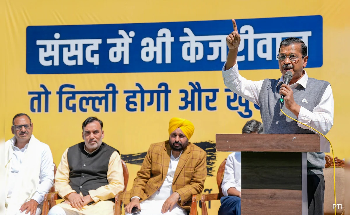 Read more about the article Arvind Kejriwal, Bhagwant Mann Launch AAP's Lok Sabha Poll Campaign