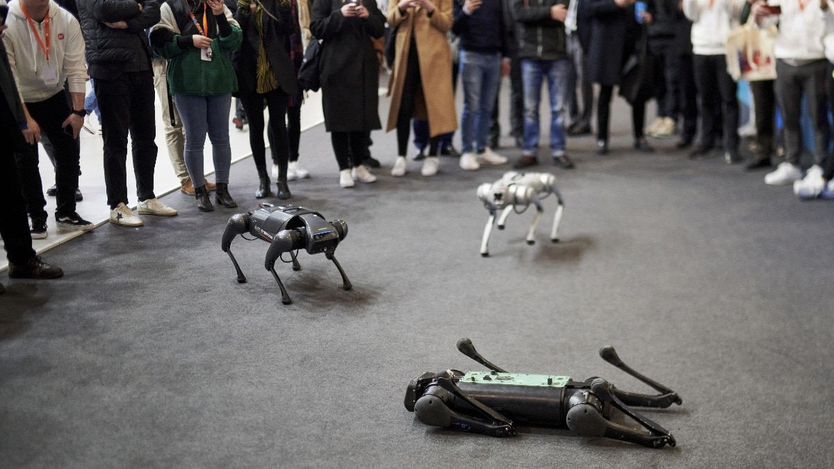 Rise of the robot dogs: Beyond your average furry friend