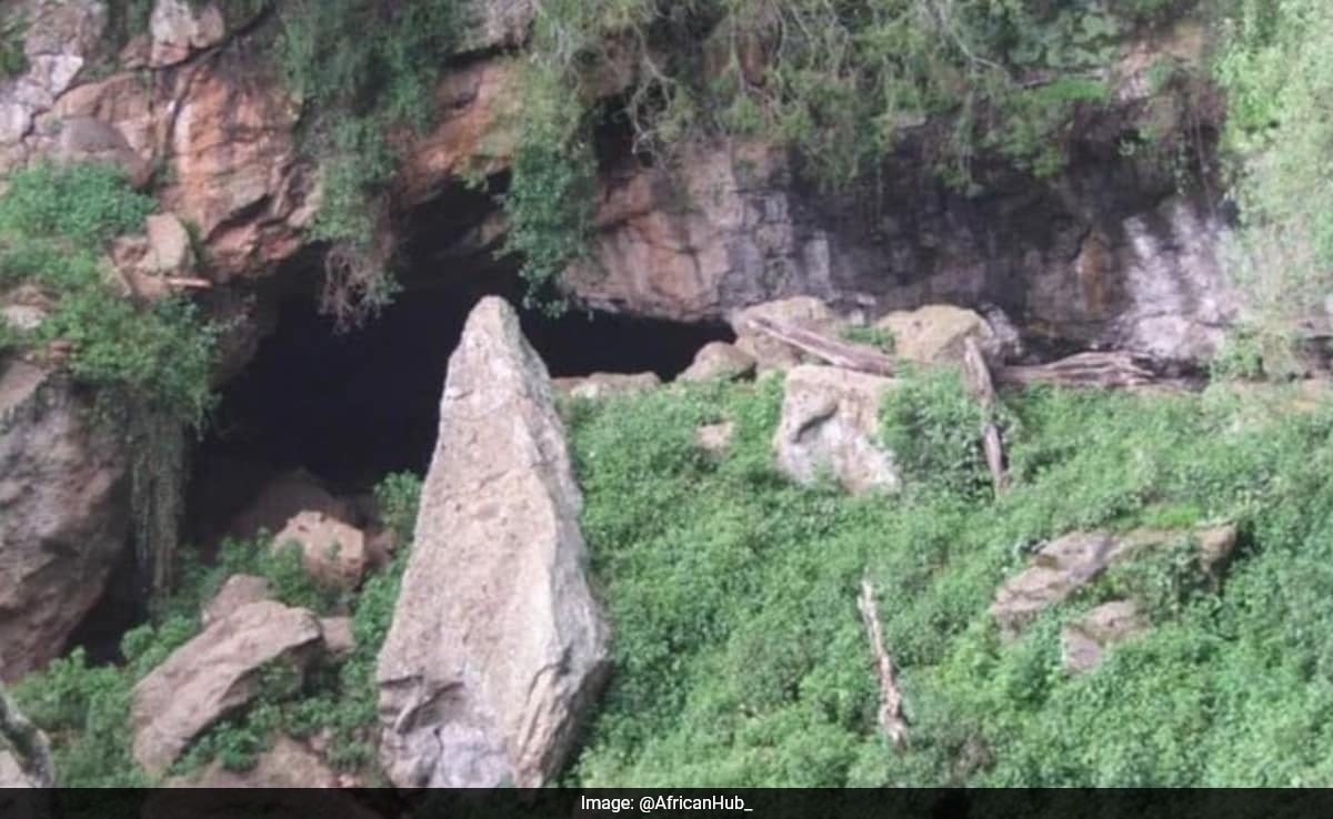 You are currently viewing This Kenya Cave, Believed To Be Source Of Ebola, Could Cause Next Pandemic