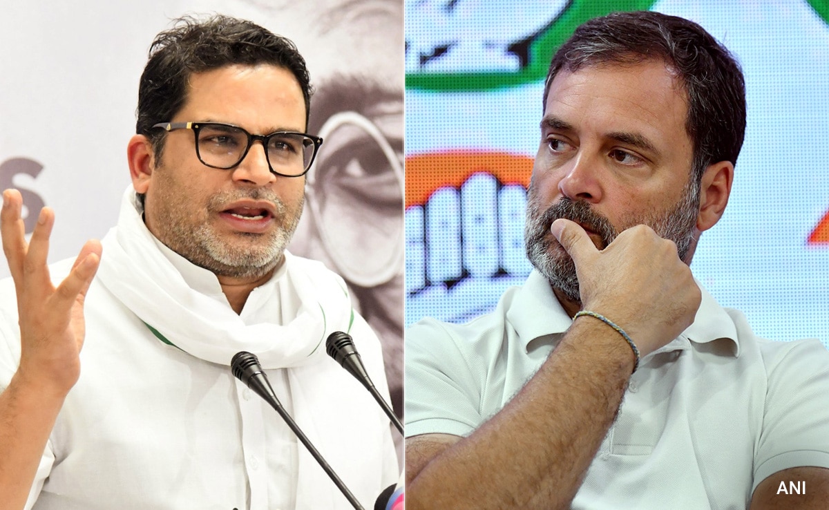 Read more about the article On Prashant Kishor's "Step Aside" Advice To Rahul Gandhi, Congress Says…