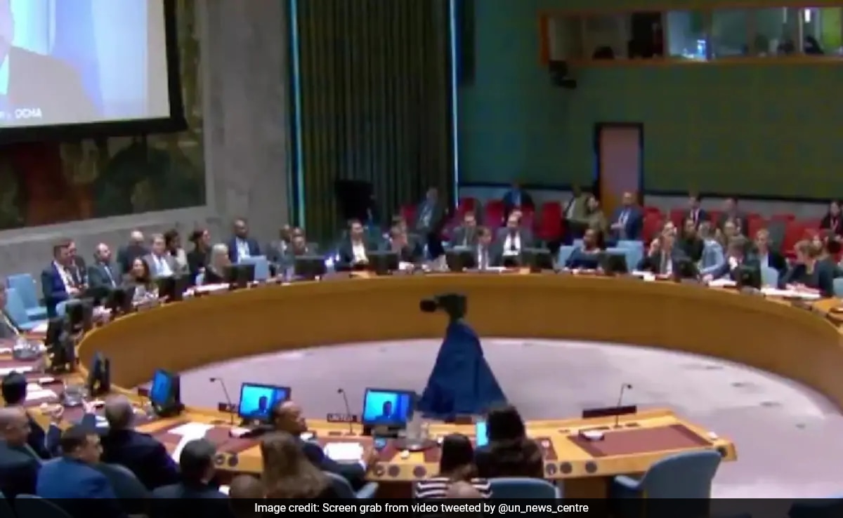 Read more about the article Earthquake Interrupts UN Briefing On Gaza