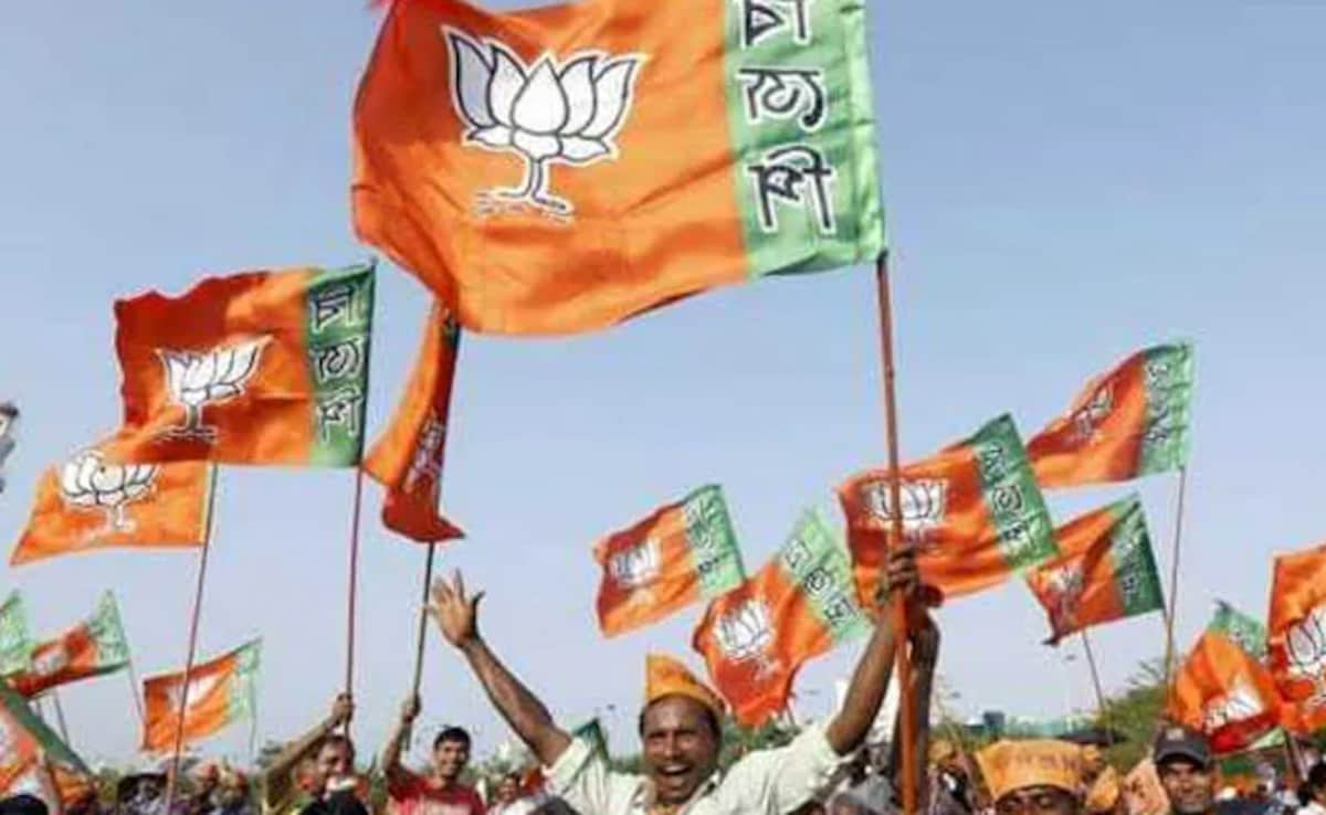 Several Leaders, Workers From Naveen Patnaik's Party Join BJP In Odisha