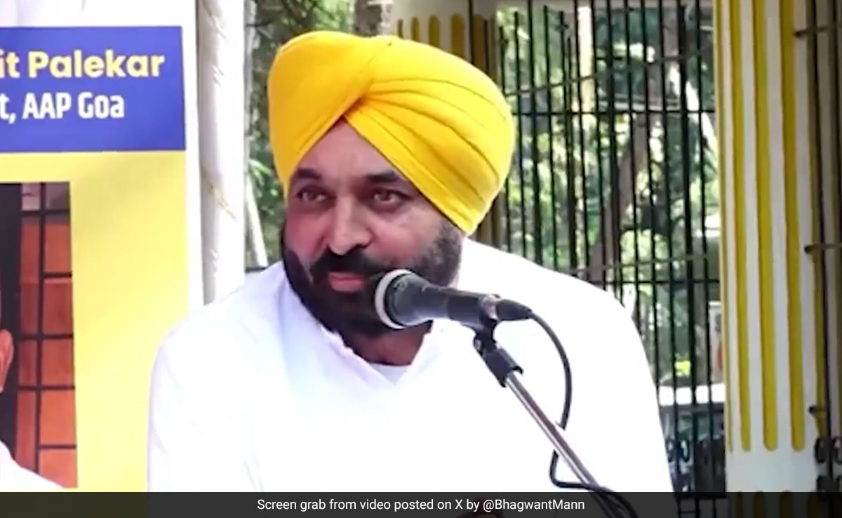 Read more about the article Next Government Cannot Be Formed Without AAP Support: Bhagwant Mann