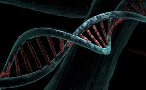 Read more about the article Airborne DNA Can Be Extracted To Be Used For Forensic Analysis, Study Finds