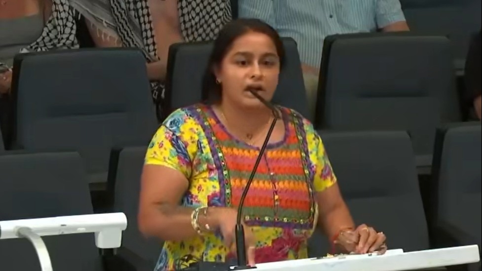 You are currently viewing Indian American woman threatens to ‘kill’ US mayor over Gaza ceasefire, charged