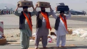 Read more about the article Taliban working to return land to Afghan Sikhs and Hindus