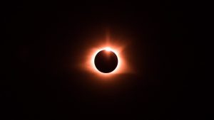 Read more about the article Six men who sued New York corrections department will get to see solar eclipse