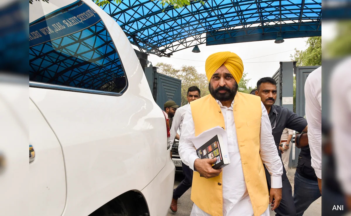 You are currently viewing "Height Of Hatred": Bhagwant Mann After Meeting Arvind Kejriwal In Jail