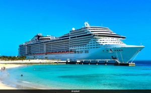 Read more about the article Woman Attacked By Bed Bugs On 70th Birthday Cruise: “Literally Crawling On Me”