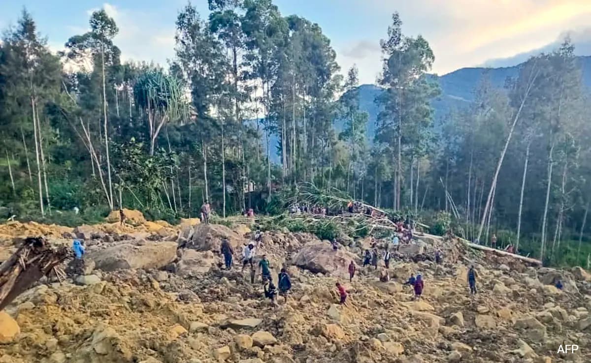 Read more about the article UN Official Says Survivors Unlikely From Papua New Guinea Landslide