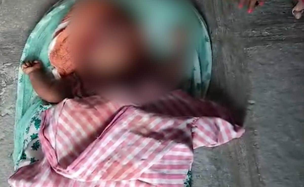 You are currently viewing Dog Mauls 5-Month-Old Baby To Death In Telangana Home