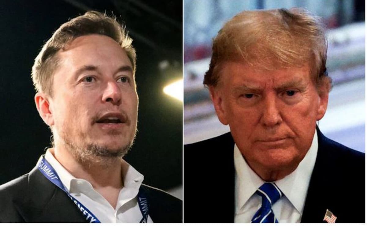 Read more about the article Donald Trump May Give Elon Musk Advisory Role If Elected President: Report