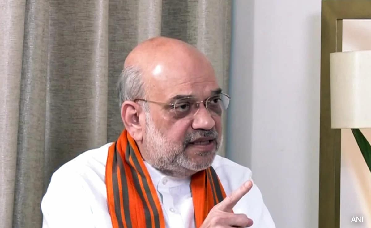 "PM Modi Ne Ghar Mein Ghus Ke Maara Hai": Amit Shah on Balakot Air Strike