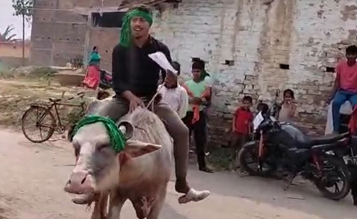 You are currently viewing Watch: It Was His First Vote. So He Rode A Buffalo To Polling Station