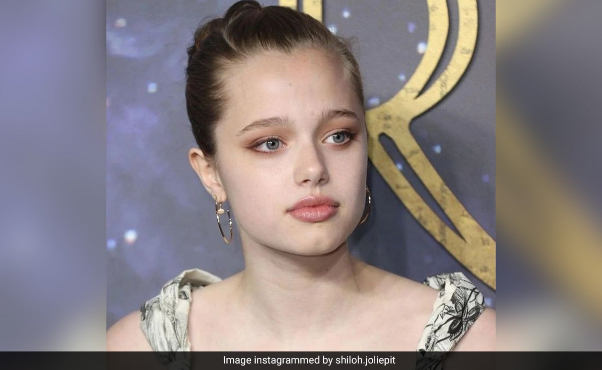 You are currently viewing Angelina Jolie And Brad Pitt’s Daughter Shiloh Files To Drop Pitt From Name