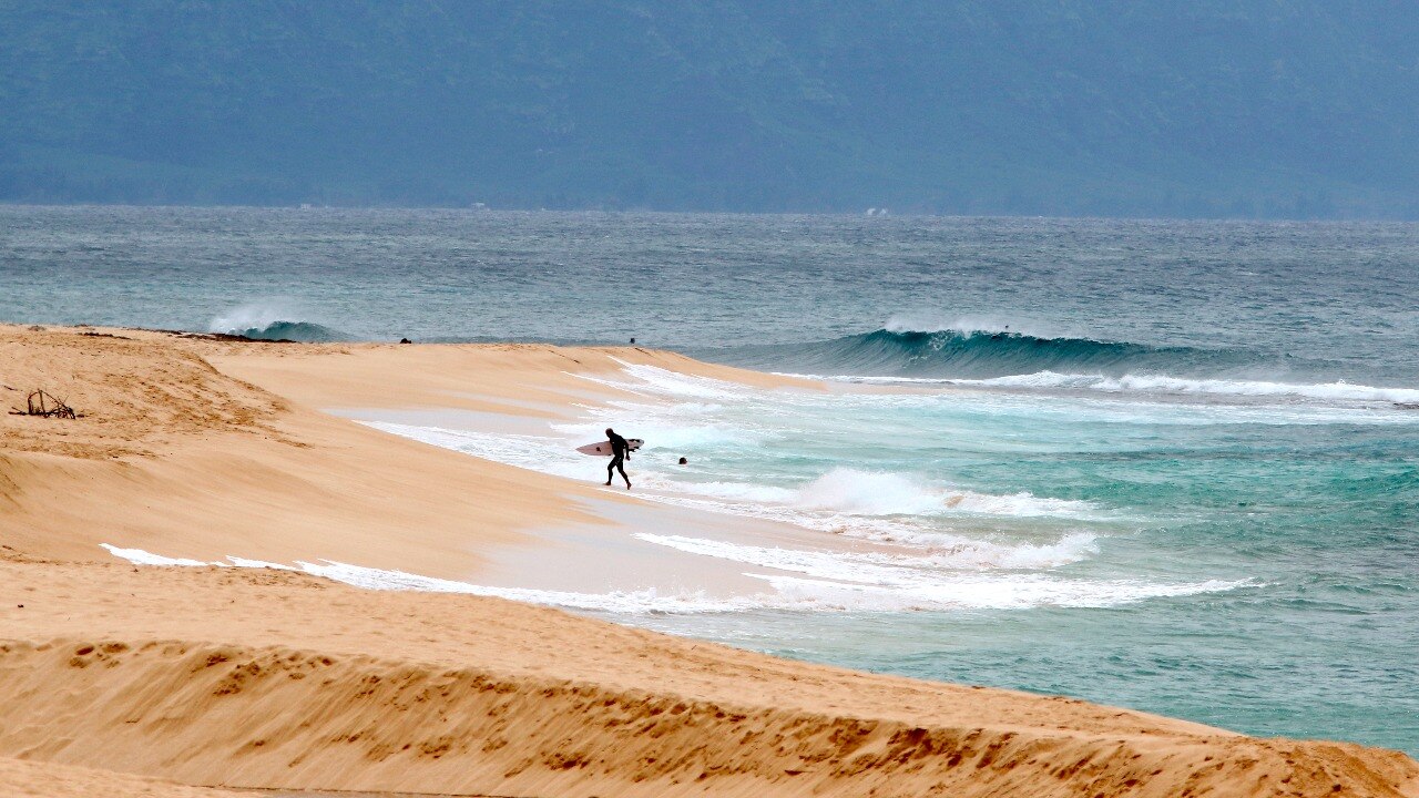 Read more about the article Hawaii lifeguard dies while surfing after shark attacks him