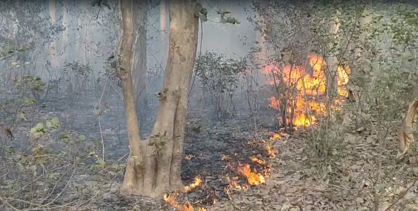 Key Highway From Delhi Closed After Forest Fire In Uttarakhand