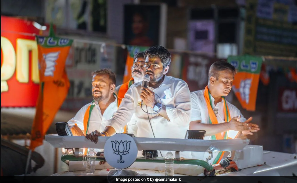 "Hindutva Politics Not Rejected": Tamil Nadu BJP Chief On Big Poll Defeat