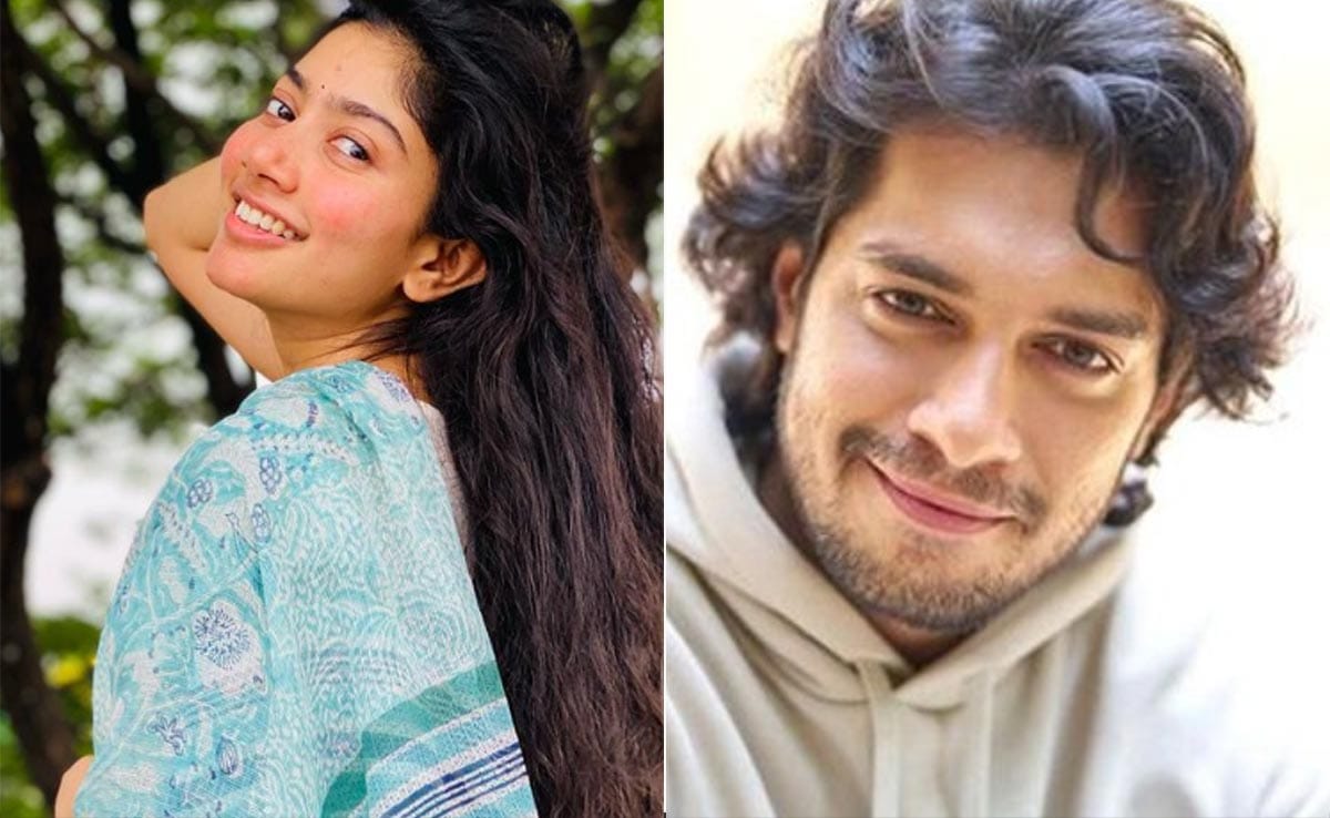 Sai Pallavi Gives Shout Out To Junaid Khan's Maharaj: "Congratulations On Your First Film's Release"