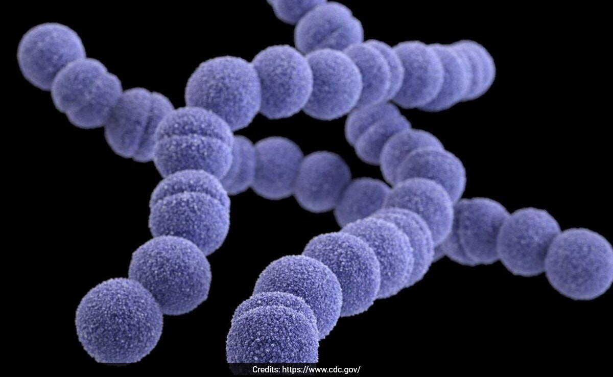 Rare “Flesh-Eating Bacteria” That Can Kill In 2 Days Spreading In Japan